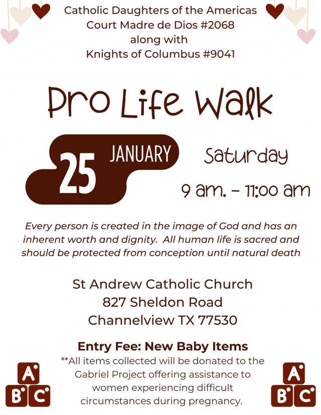 image-1007257-2025_Pro_Life_Walk_Flyer_(1)-c51ce.w640.jpg