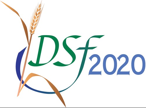 image-862757-DSF_Logo_2020-aab32.jpg